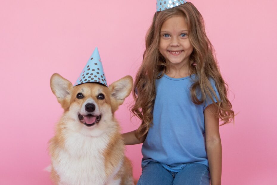 young-girl-and-corgi-dog-in-front-of-pink-background-wearing-birthday-party-hats